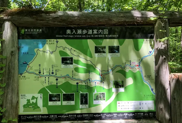 奥入瀬渓流館の写真・動画_image_338508