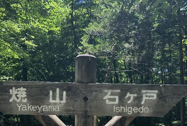 奥入瀬渓流館の写真・動画_image_338512