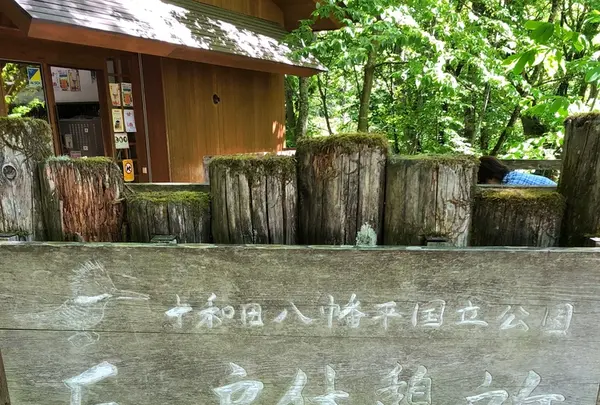 奥入瀬 石ケ戸休憩所の写真・動画_image_338585