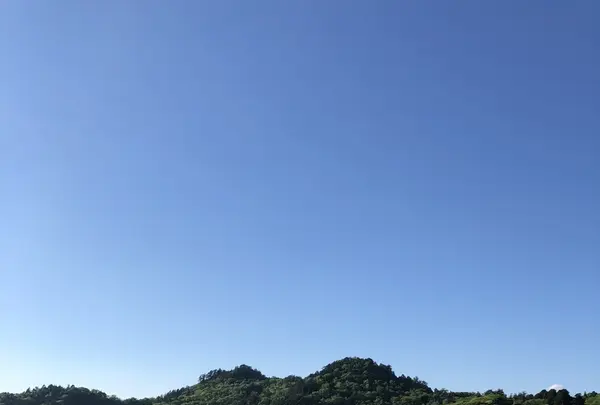 十和田湖の写真・動画_image_338595
