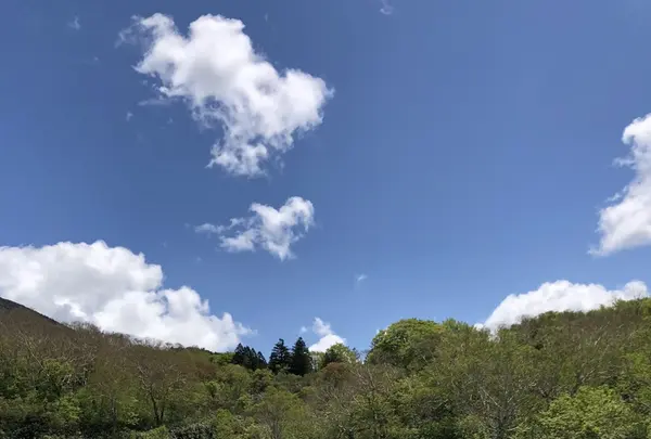 地獄沼の写真・動画_image_338702