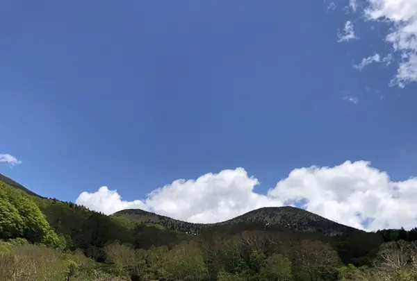 地獄沼の写真・動画_image_338703