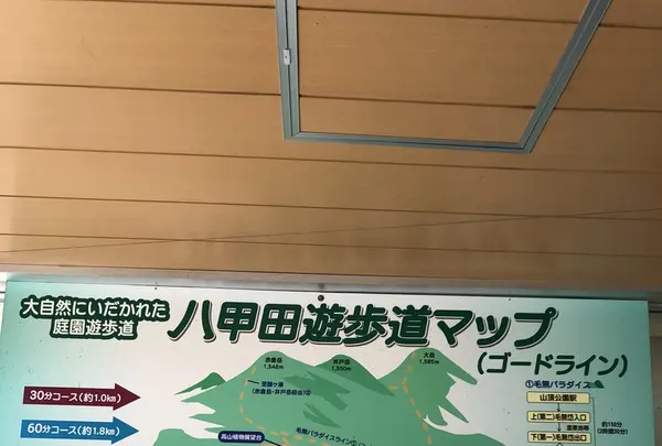 八甲田ロープウェイの写真・動画_image_338719