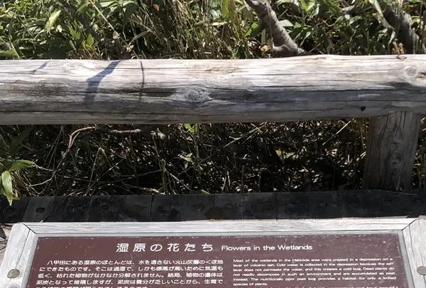八甲田ロープウェイの写真・動画_image_338737