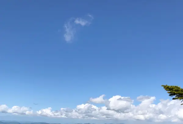 八甲田ロープウェイの写真・動画_image_338753
