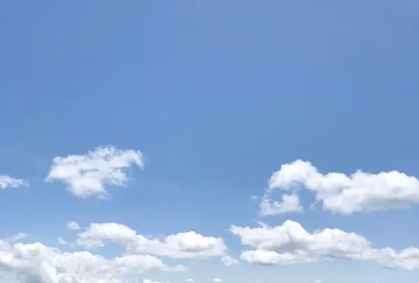八甲田ロープウェイの写真・動画_image_338781