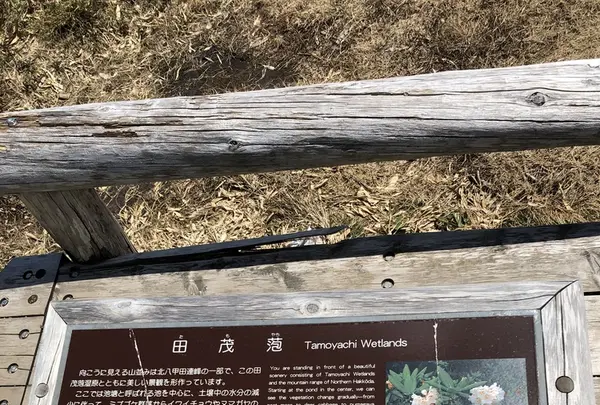 八甲田ロープウェイの写真・動画_image_338793