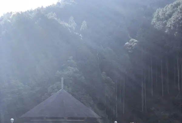 滝尻王子 （熊野古道 中辺路）の写真・動画_image_338869