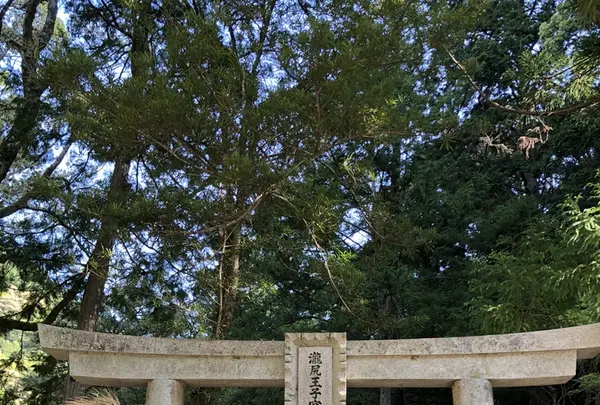 滝尻王子 （熊野古道 中辺路）の写真・動画_image_338872