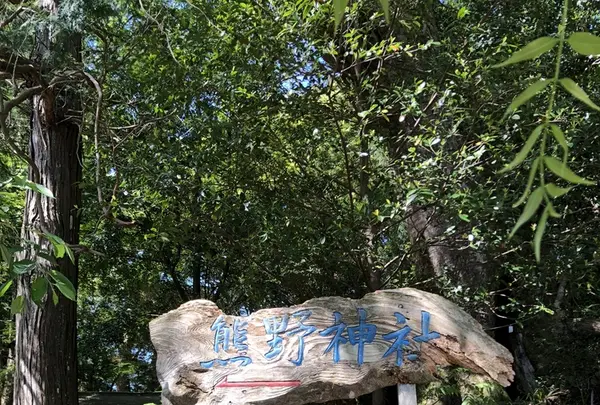 高原熊野神社 （熊野古道 中辺路）の写真・動画_image_338897