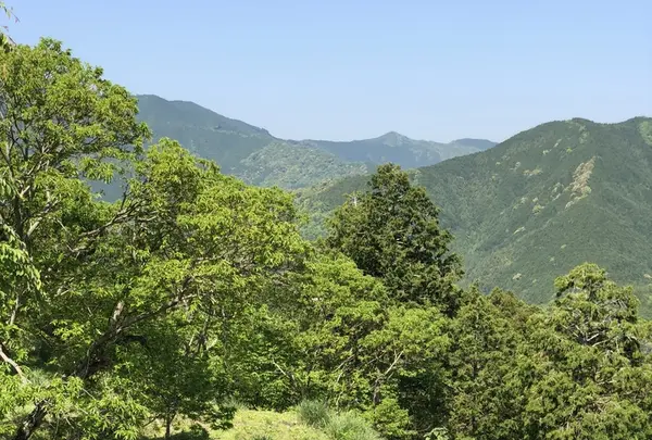 高原熊野神社 （熊野古道 中辺路）の写真・動画_image_338898
