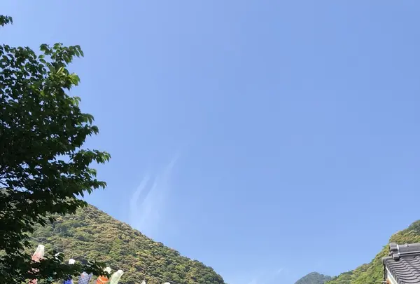 熊野古道大門坂の写真・動画_image_338937