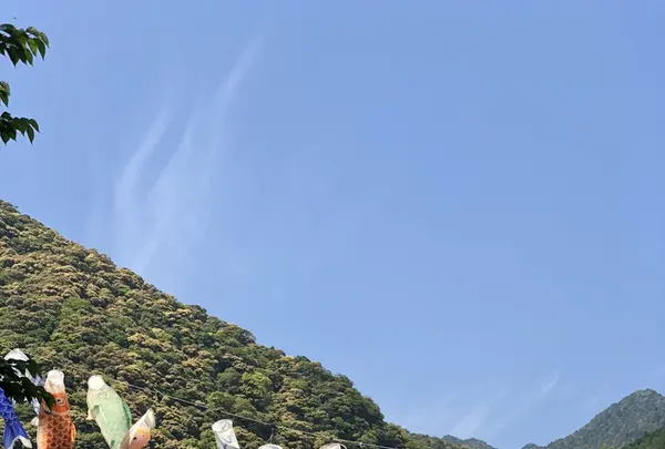 熊野古道大門坂の写真・動画_image_338943