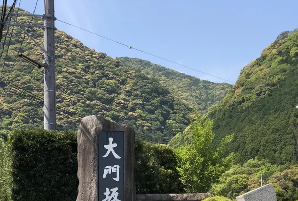 熊野古道大門坂の写真・動画_image_338949