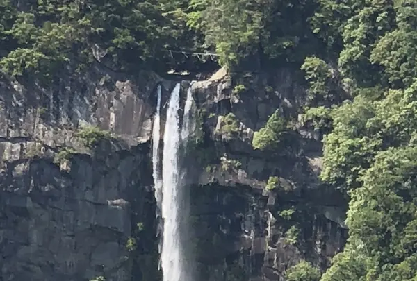 那智大社 青岸渡寺 参道入口 熊野古道の写真・動画_image_338954