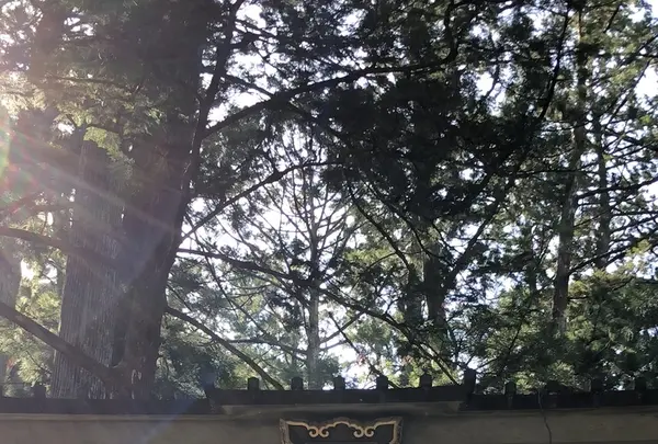 那智大社 青岸渡寺 参道入口 熊野古道の写真・動画_image_338958