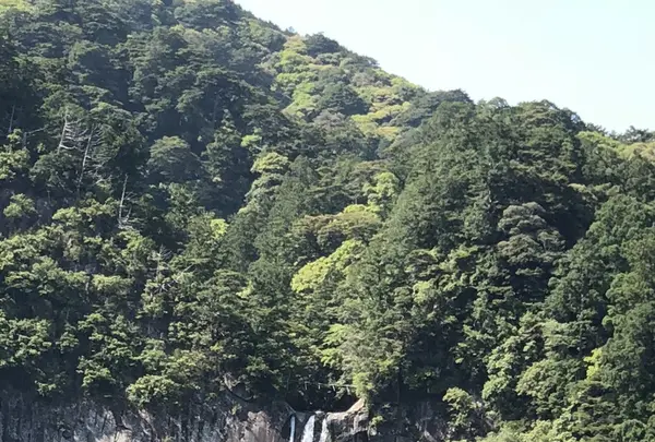 那智大社 青岸渡寺 参道入口 熊野古道の写真・動画_image_338965