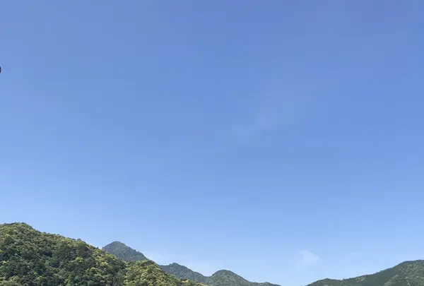 那智大社 青岸渡寺 参道入口 熊野古道の写真・動画_image_338968