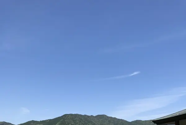 那智大社 青岸渡寺 参道入口 熊野古道の写真・動画_image_338971