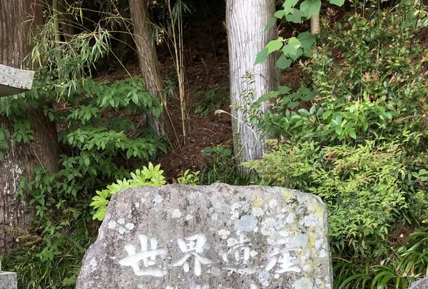 那智大社 青岸渡寺 参道入口 熊野古道の写真・動画_image_338973