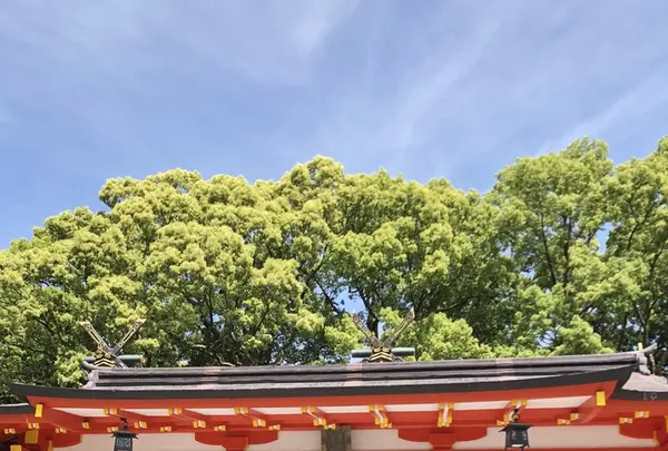 熊野速玉大社の写真・動画_image_339025