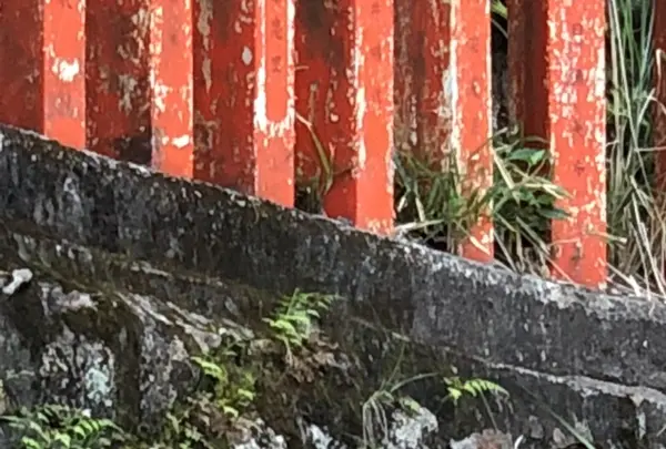 神倉神社の写真・動画_image_339030