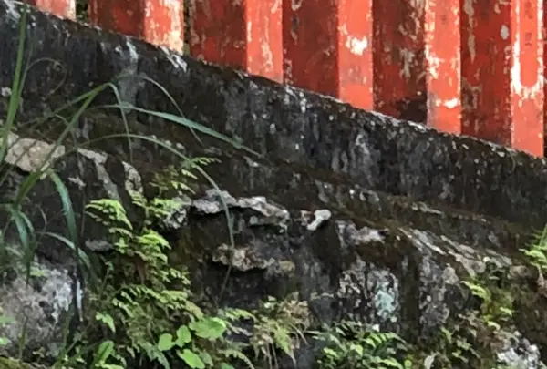 神倉神社の写真・動画_image_339031