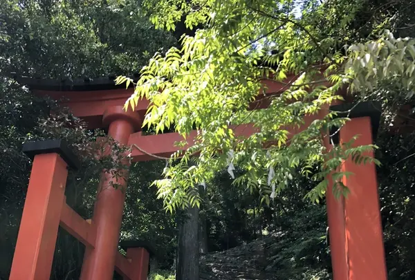 神倉神社の写真・動画_image_339032