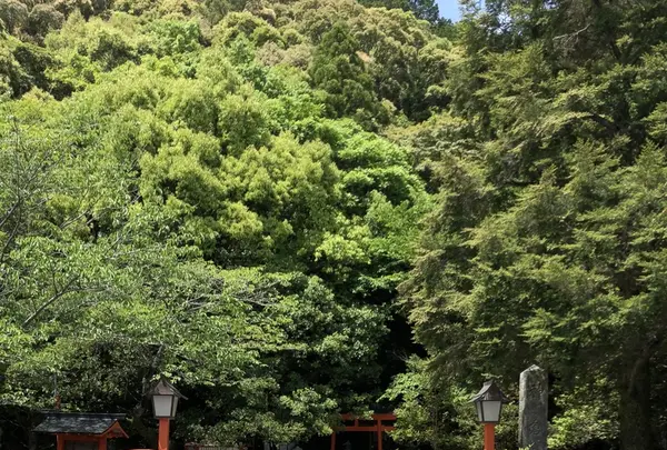神倉神社の写真・動画_image_339040