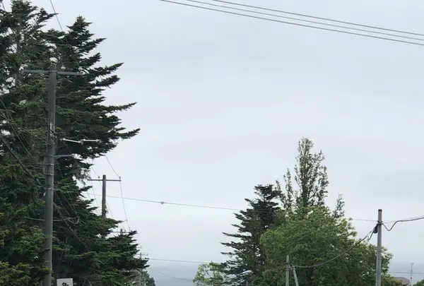 天に続く道の写真・動画_image_339130