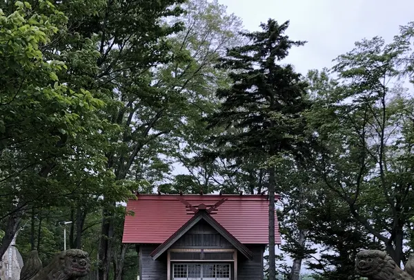 天に続く道の写真・動画_image_339132