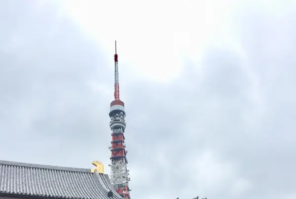 増上寺の写真・動画_image_339158