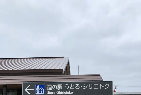 知床世界遺産センターの写真・動画_image_339184