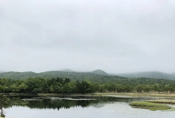 知床五湖の写真・動画_image_339255