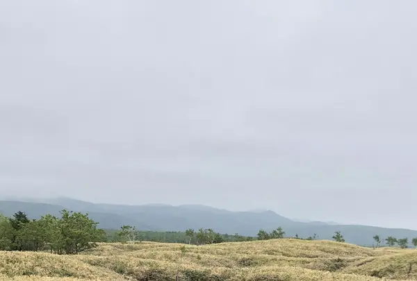 知床五湖の写真・動画_image_339259