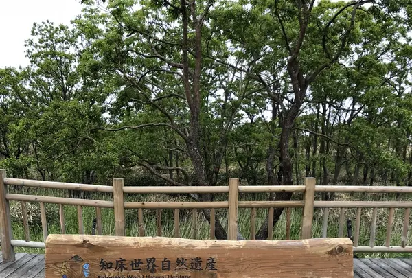 知床五湖の写真・動画_image_339260