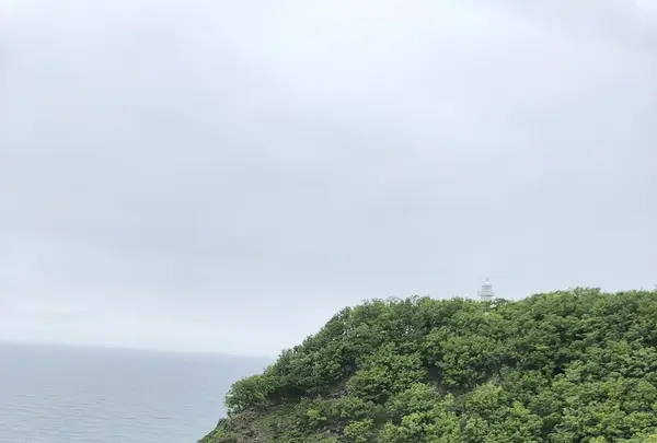 知床自然センターの写真・動画_image_339267