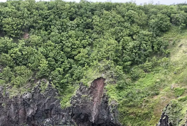 知床自然センターの写真・動画_image_339268