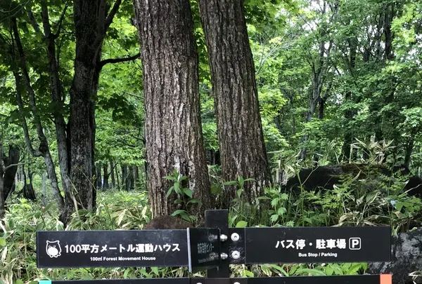 知床自然センターの写真・動画_image_339272