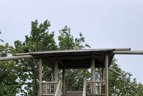 知床自然センターの写真・動画_image_339273