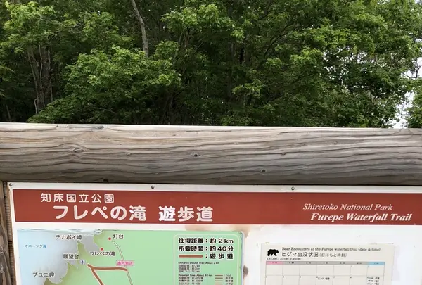 知床自然センターの写真・動画_image_339276