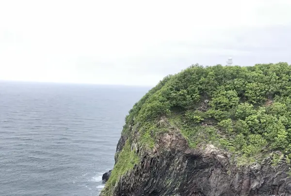 知床自然センターの写真・動画_image_339279