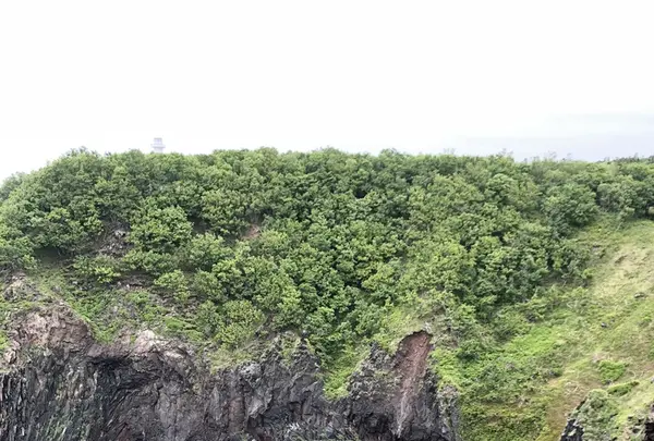 知床自然センターの写真・動画_image_339280