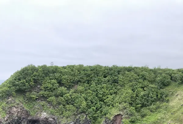 知床自然センターの写真・動画_image_339282