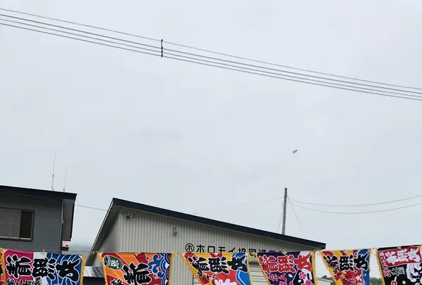 漁協婦人部食堂の写真・動画_image_339283