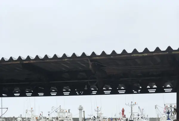 漁協婦人部食堂の写真・動画_image_339284