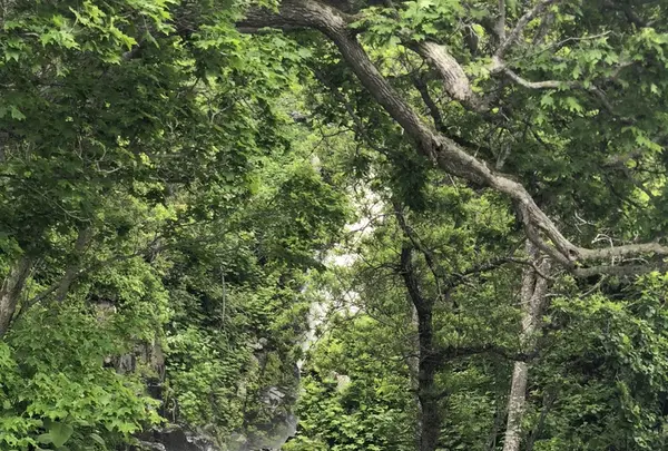 三段の滝の写真・動画_image_339292