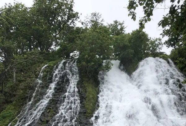 オシンコシンの滝の写真・動画_image_339299