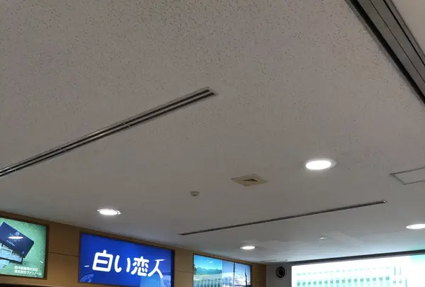 女満別空港の写真・動画_image_339326