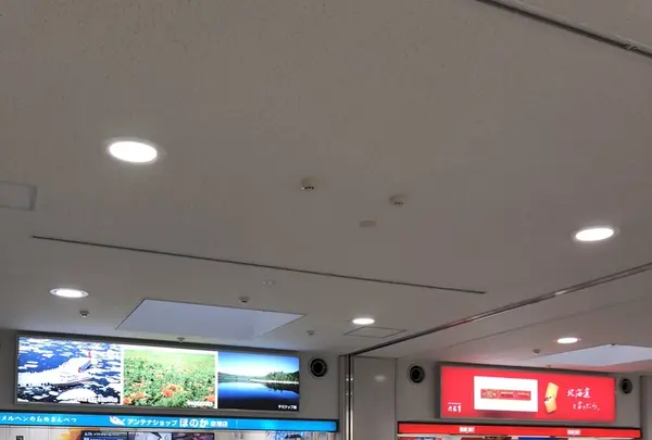 女満別空港の写真・動画_image_339327